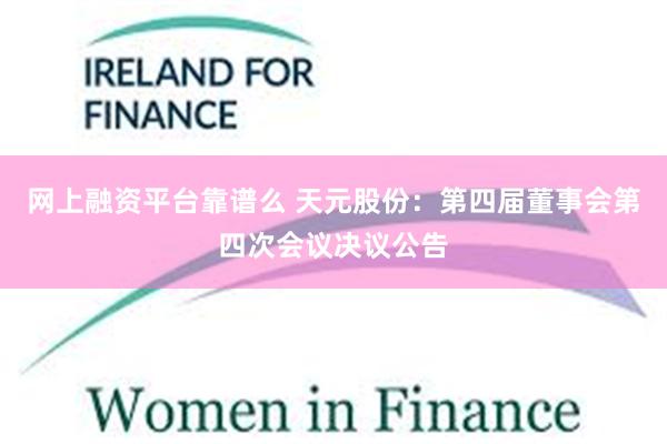 网上融资平台靠谱么 天元股份：第四届董事会第四次会议决议公告