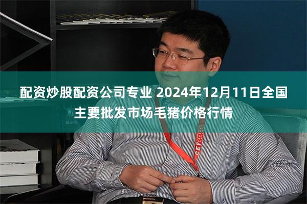 配资炒股配资公司专业 2024年12月11日全国主要批发市场毛猪价格行情