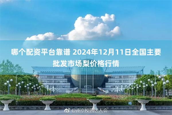 哪个配资平台靠谱 2024年12月11日全国主要批发市场梨价格行情