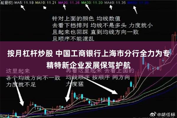 按月杠杆炒股 中国工商银行上海市分行全力为专精特新企业发展保驾护航