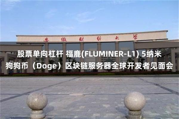 股票单向杠杆 福鹿(FLUMINER-L1) 5纳米狗狗币（Doge）区块链服务器全球开发者见面会