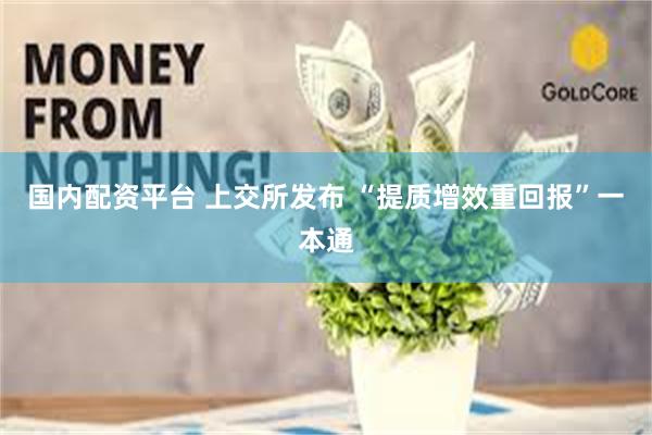 国内配资平台 上交所发布 “提质增效重回报”一本通