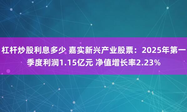 杠杆炒股利息多少 嘉实新兴产业股票：2025年第一季度利润1.15亿元 净值增长率2.23%
