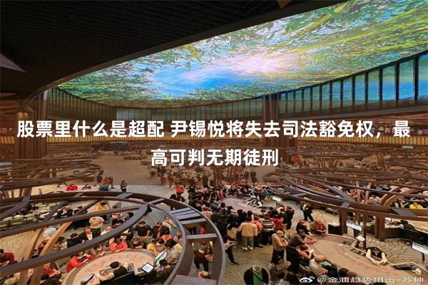 股票里什么是超配 尹锡悦将失去司法豁免权，最高可判无期徒刑
