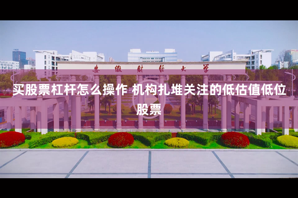 买股票杠杆怎么操作 机构扎堆关注的低估值低位股票