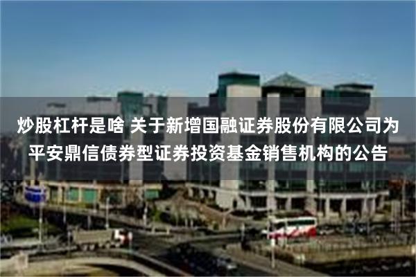 炒股杠杆是啥 关于新增国融证券股份有限公司为平安鼎信债券型证券投资基金销售机构的公告