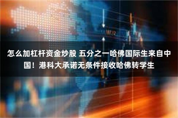 怎么加杠杆资金炒股 五分之一哈佛国际生来自中国！港科大承诺无条件接收哈佛转学生