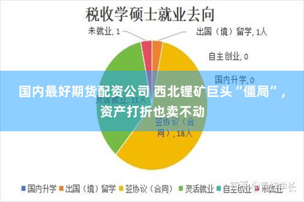 国内最好期货配资公司 西北锂矿巨头“僵局”，资产打折也卖不动