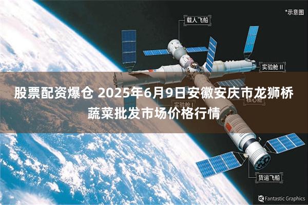 股票配资爆仓 2025年6月9日安徽安庆市龙狮桥蔬菜批发市场价格行情