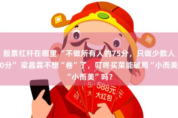 股票杠杆在哪里 “不做所有人的75分，只做少数人的120分” 梁昌霖不想“卷”了，叮咚买菜能破局“小而美”吗？