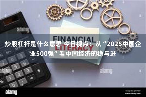 炒股杠杆是什么意思 今日视点：从“2025中国企业500强”看中国经济的稳与进